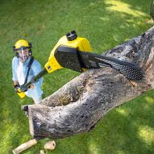 Best Lawn Maintenance Plans  in Apache, OK